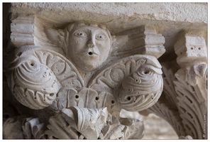 20160123-21 6743-Arles Abbaye de Montmajour le cloitre