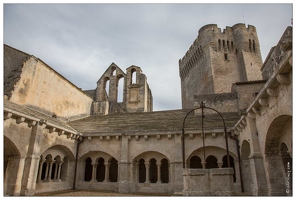 20160123-25 6746-Arles Abbaye de Montmajour le cloitre