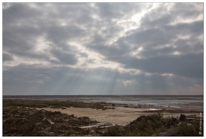 20160124-21 6993-Salin de Giraud Les marais salants