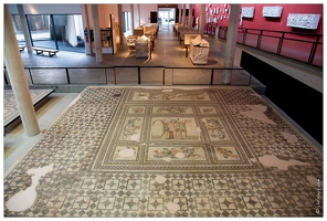 20160122-6691-Musee Arles Antique mosaique de l'Aion
