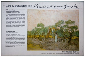 20160128-06 7276-Saint Remy de Provence Parcours Van Gogh