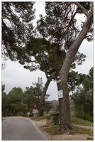 20160128-09 7283-Saint Remy de Provence Parcours Van Gogh