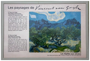 20160128-10 7285-Saint Remy de Provence Parcours Van Gogh