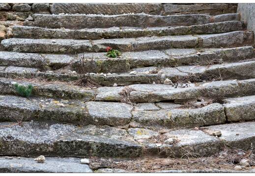 20160128-41 7346-Saint Remy de Provence Glanum Escalier Salyen
