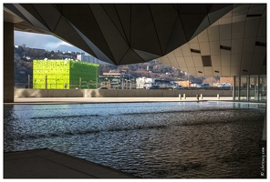 20160129-28 7465-Lyon Musee des Confluences