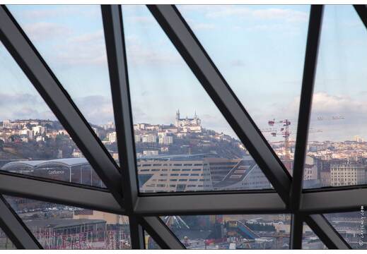 20160129-42 7425-Lyon Musee des Confluences
