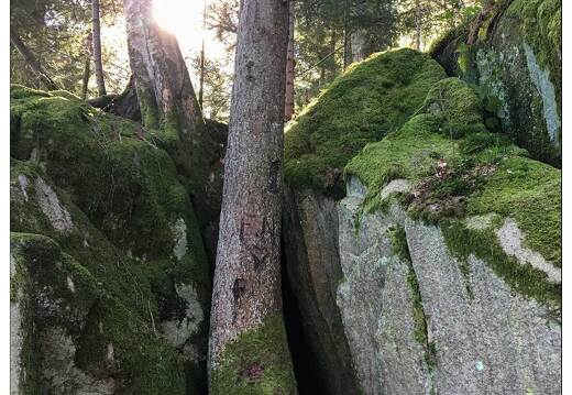 20160411-05 3571-Gerardmer