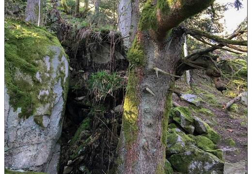 20160411-06 3572-Gerardmer