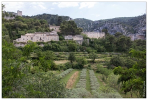 20160610-55 9595-Luberon Oppede Le Vieux