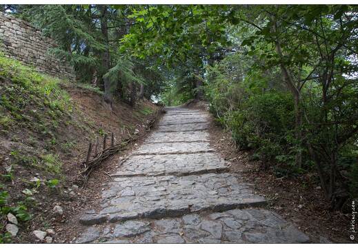 20160613-41 9885-Luberon Forcalquier