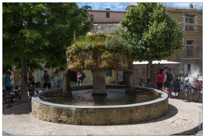 Vaugines