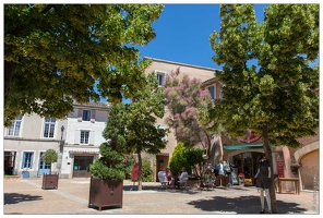 20160619-32 0323-LIsle sur la Sorgue