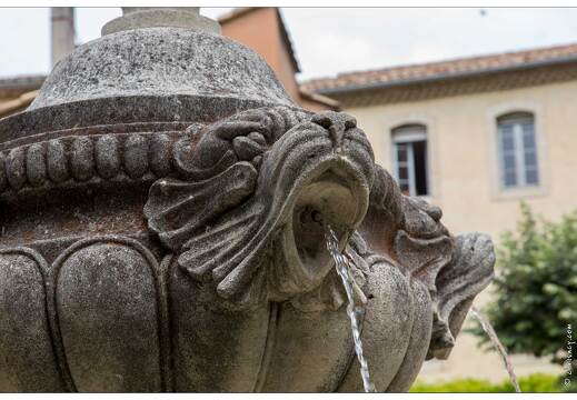 20160621-55 0523-Carpentras