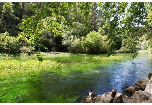 20160621-27 0589-Fontaine de Vaucluse