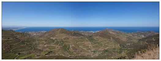 20160825-14 1649-Le Vignoble Banyuls pano