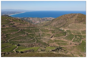 20160825-15 1650-Le Vignoble Banyuls