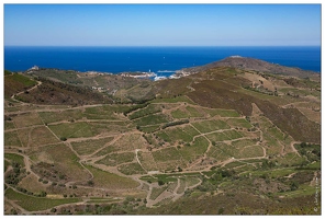 20160825-16 1651-Le Vignoble Port Vendres