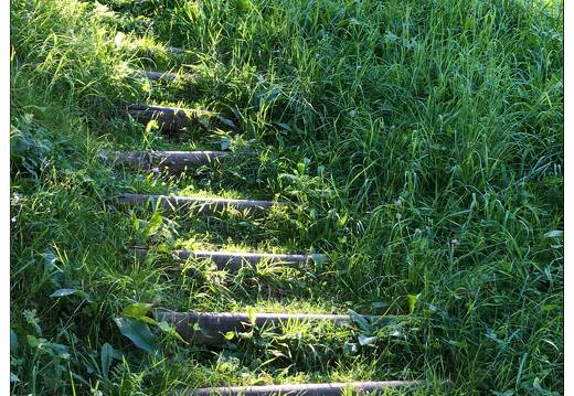 20160908-07 4402-La Bresse a la vierge du chastelat