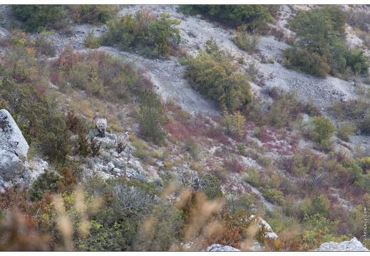 20161012-20 4814-Remuzat