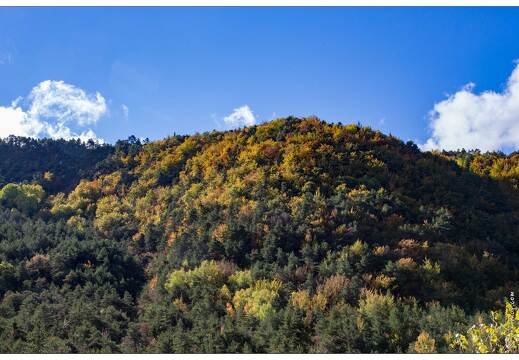 20161015-18 4919-Les Pres