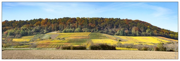 20161030-03 5272-Bruley Vignes pano