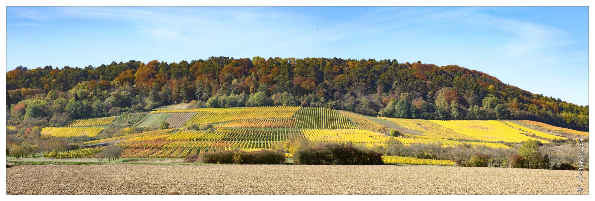 20161030-03_5272-Bruley_Vignes_pano.jpg