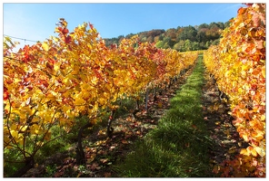 Automne dans les côtes de Toul