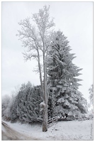 20170122-10 6679-Givre en haute savoie