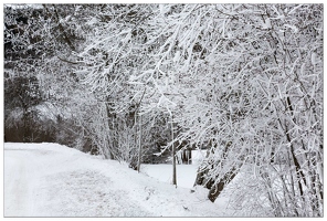 20170122-12 6674-Givre en haute savoie