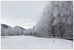 20170122-13 6678-Givre en haute savoie