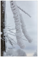 20170122-14 6677-Givre en haute savoie