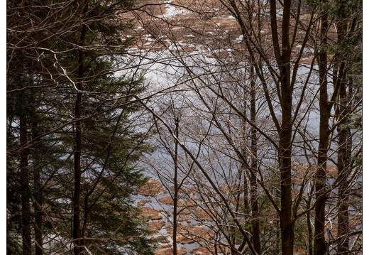 20170330-01 7222-Lispach balade boule du diable