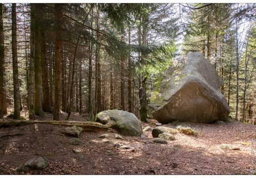 20170330-04 7233-Lispach balade boule du diable