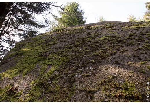 20170330-07 7236-Lispach balade boule du diable