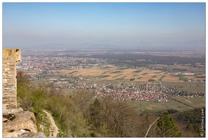 20170407-31 7546-Chateau du Hohlandsbourg Vue sur Wettolsheim