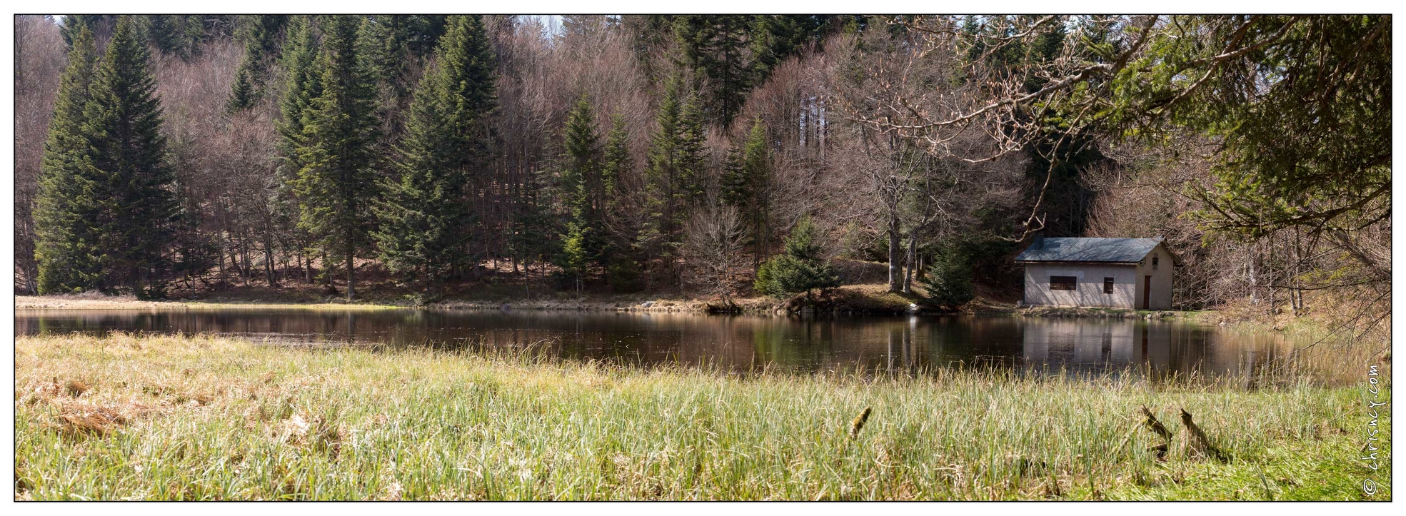 20170409-11_7640-La_Bresse_Lac_de_la_Cuve_pano.jpg