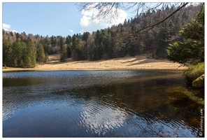 20170409-17 7714-La Bresse Lac de la Cuve