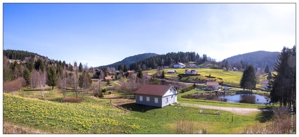 20170406-7305-Les Bas Rupts Jonquilles pano