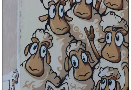 20170509-40 9617-Route de Maljasset