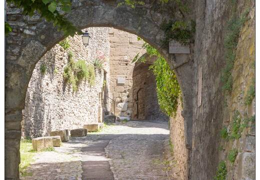 20170517-10 0109-Vaison la Romaine