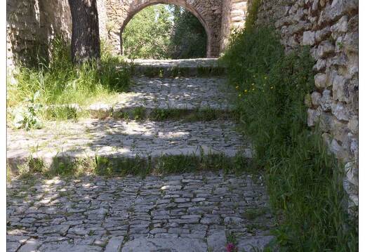 20170517-11 0123-Vaison la Romaine