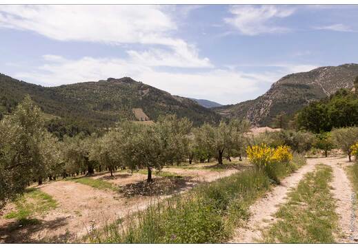 20170523-12 0476-Col d'Ey