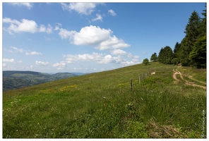 20170615-07 1595-La Bresse chemin de Grouveline