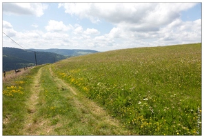 20170615-15 1612-Chemin de la Reteliere