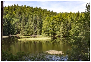 20170616-07 1677-La Bresse Etang de Xauxonfaing