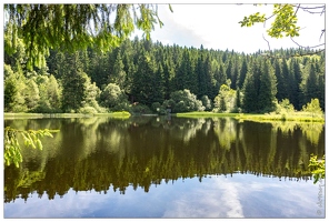 20170616-09 1686-La Bresse Etang de Xauxonfaing