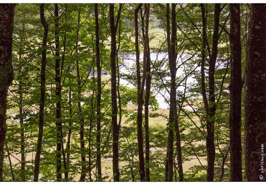 20170711-16 3124-Tourbiere de machais