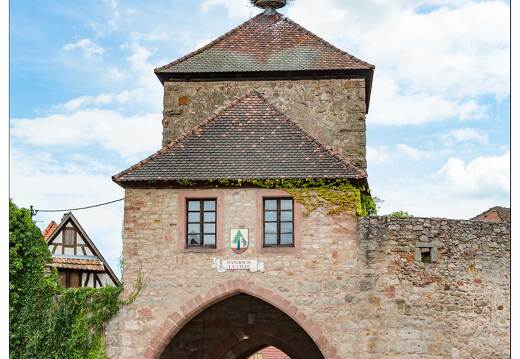 20170715-64 3701-Dambach la Ville