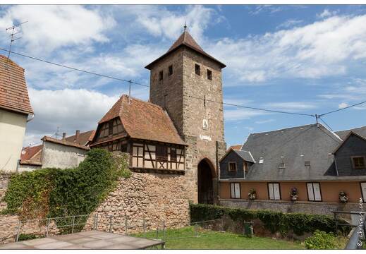 20170715-65 3682-Dambach la Ville