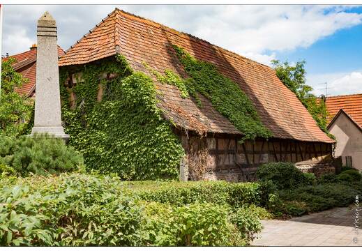 20170715-69 3688-Dambach la Ville